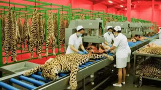 Inside India&rsquo;s Leopard Leather Factory &ndash; Premium Fashion Made from Rare Skins (Full Process)