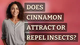 Does cinnamon attract or repel insects?