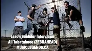 Ali Tabatabaee Interview - Zebrahead