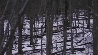 MARYLAND LATE SEASON MUZZLELOADER HUNT