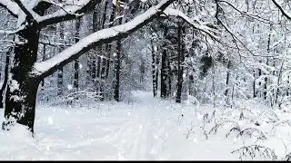 NEWS10ABC Winter Weather Guide