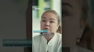 Мясо из грибов. Будущее за микопротеином?