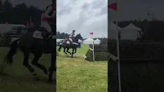 assets...?🥲 #equestrain #horse #лошади #рекомендации #рек #конныйспорт #subscribe #horsetrack