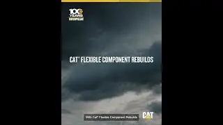 Cat&reg; Flexible Component Rebuilds