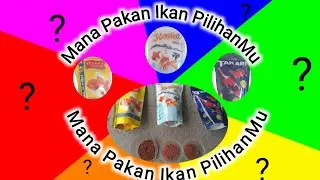 Detail Review Cara Memilih Makanan Ikan Untuk Ikan Hias Mas Koki Kesayangan