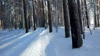 парафинить лыжи или нет?