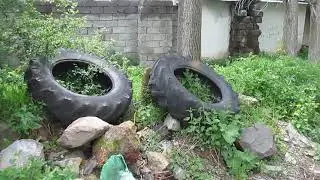 CECÜN Y POSOF