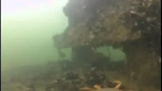 Rocky Point Park Pier with BEM
