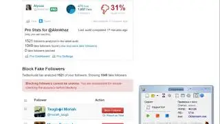 Поднимаем процент в  Twitter Audit