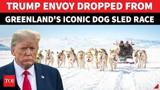 Greenland Draws A Line, 'Humiliates' Trump Envoy: Dog Sled Association Rejects Jeff Landry
