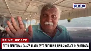 Betul Fisherman Raises Alarm Over Shellfish, Fish Shortage in South Goa