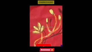 Diploma in Fashion Design with Certificate Learn Online Class 244 3D Fabric Painting Design
