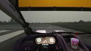 Microsoft Flight Simulator 2020 - Juice Goose