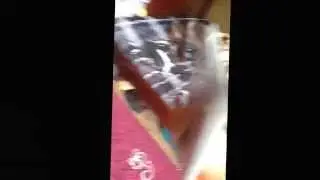 Red Faction Guerrilla Unboxing