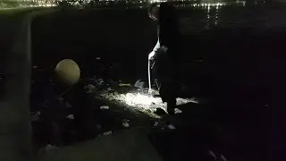 Local Marks Litter Pick!