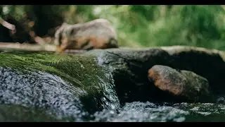 6 Hours of Relaxing Waterfall Sounds
