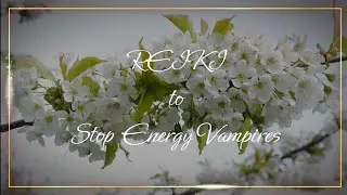 Reiki to Stop Energy Vampires | Timeless Energy Healing