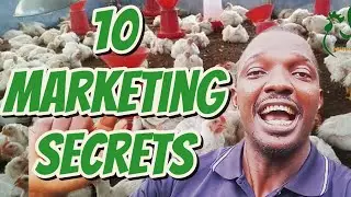 10 Marketing Tips to Sell Broiler Chickens Profitably