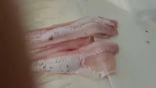 Como fazer Fil&eacute; de Congro Rosa