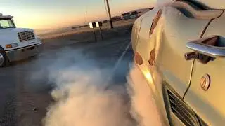 MUSTANG BURNOUT SEND IT