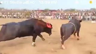 TIK HELE KI TAKKAR BHARAT TAKIS