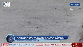 ALANYA KOCAOĞLANLI YAYLASI&rsquo;NDA VAHŞET - ANA HABER B&Uuml;LTENİ - 22.11.2025