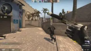 ESEA VS Cevo
