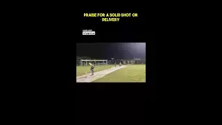 Solid Shot Earns All The Praise