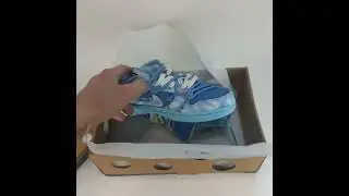 Nike SB Dunk Low x off-white