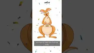 Kangaroo find her baby