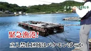 立入禁止区域の堤防は悍ましいバケモンの巣箱だけに驚きを隠せない