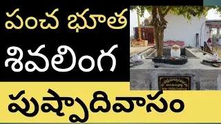Unveiling The Sacred Ritual Of Shiva Linga Pratista On Pushapadivasam