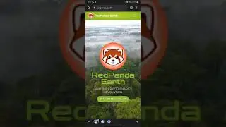 Red Panda Earth Token update ERC20 Charity Token NFT update Culture Meet & More. 2 to 3x UP!