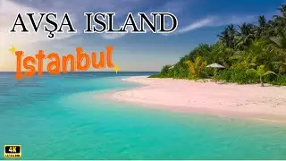Here is the Paradise Island near the İstanbul I TOP PLACES OF AVŞA ISLAND