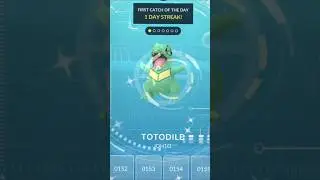 finally got shiny totodile from community day 🥶#pokemongo #viralshort