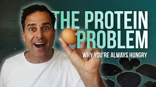 The Protein Problem: Why You're Always Hungry (The Math No One Shows You)