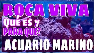 CUÁLES SON LOS BENEFICIOS DE LA ROCA VIVA EN EL ACUARIO MARINO / ROCA BIOACTIVADA?