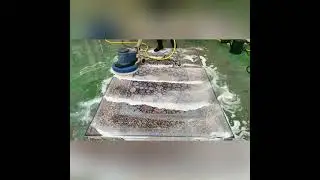 Persian Isfahan Rug Cleaning, London Nw1 Nw3 N1 EC1