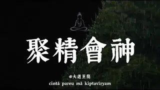 拒絕內耗斬斷執念，聚精會神專注當下#精力#生命#佛学#修心