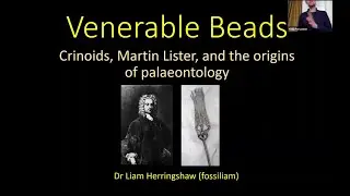 Palaeontology - Venerable Beads