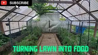 Growing food not lawns