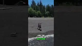 Untouched Places: Feel Alive & Connect with Nature's Magic!