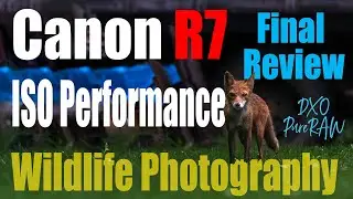 Canon R7 - FINAL REVIEW Low Light | High ISO Performance with DXO PureRaw 2 for Wildlife Photography