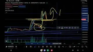 #SHINA INU TECHNICAL ANALYSIS WHAT IS PROPER PLAY AFTER 25% CORRECTION? WATCH THIS NOW!