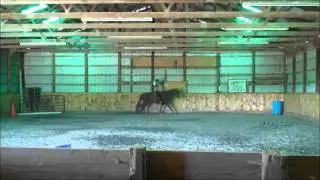 First Rope Halter Ride on Rusty