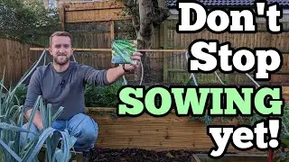 Boost Your Garden's Productivity: Autumn Planting Tips for Broad Beans and Spring Success