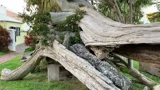 ST GEORGE&rsquo;S SLAVE CEMETERY ON THE ISLAND OF BERMUDA | Pessimistic Philosophy Explained