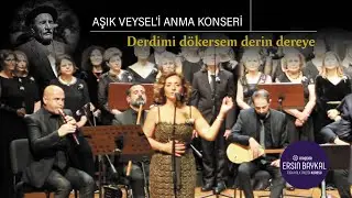 Derdimi dökersem derin dereye