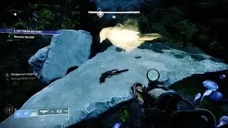 Glint: We're Part Of A Broader Design - Crow: I Don't Want To Be A Cosmic Plaything (Destiny 2)