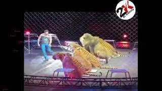 Shero ka kartab, Lucky Irani circus 2022